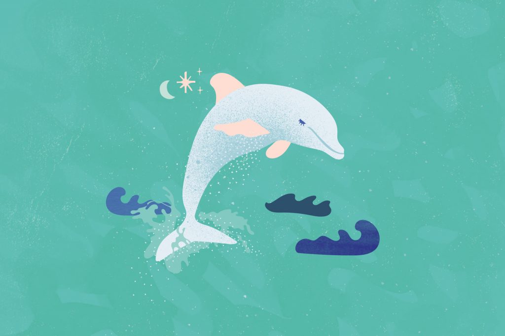 Improved FINS stroke development program is on it's way! — In The Deep